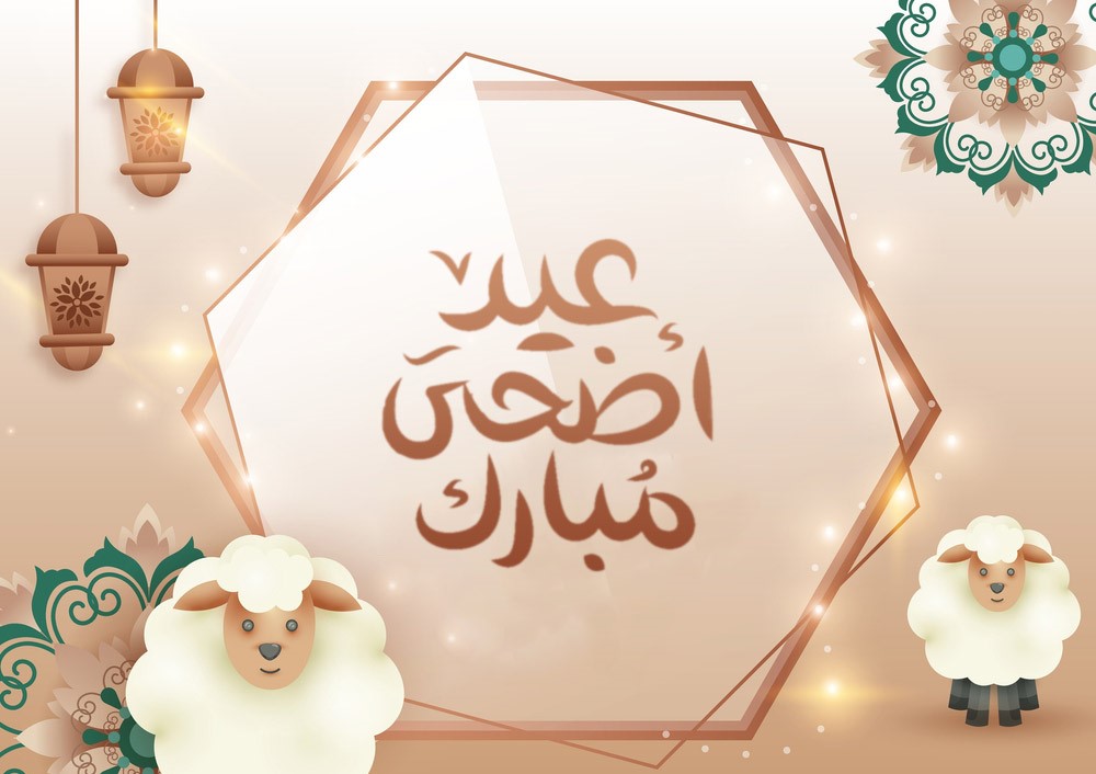 Campagne Aïd El Edha 2025